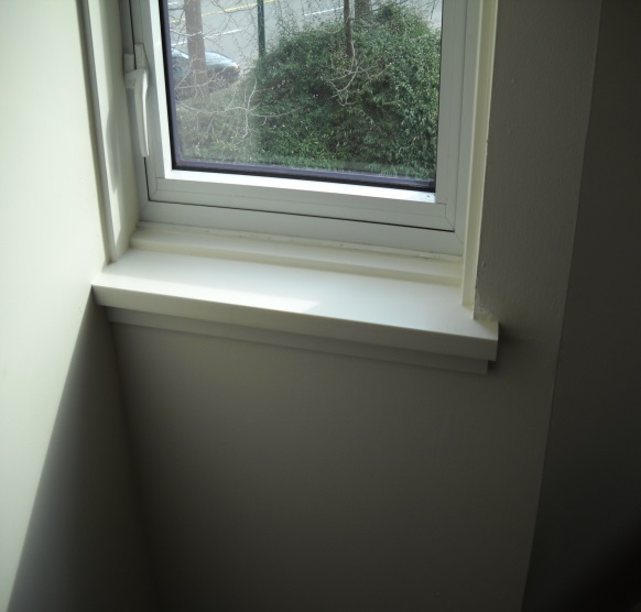 Mold Free Window