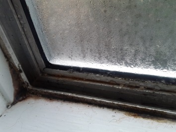 Window Mold