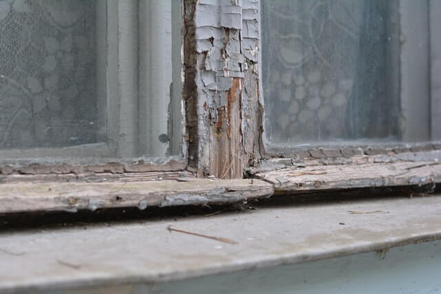 A closeup showing rotting wood and flaking paint on a wooden window.

When to replace windows?" How about when they are completely falling apart.